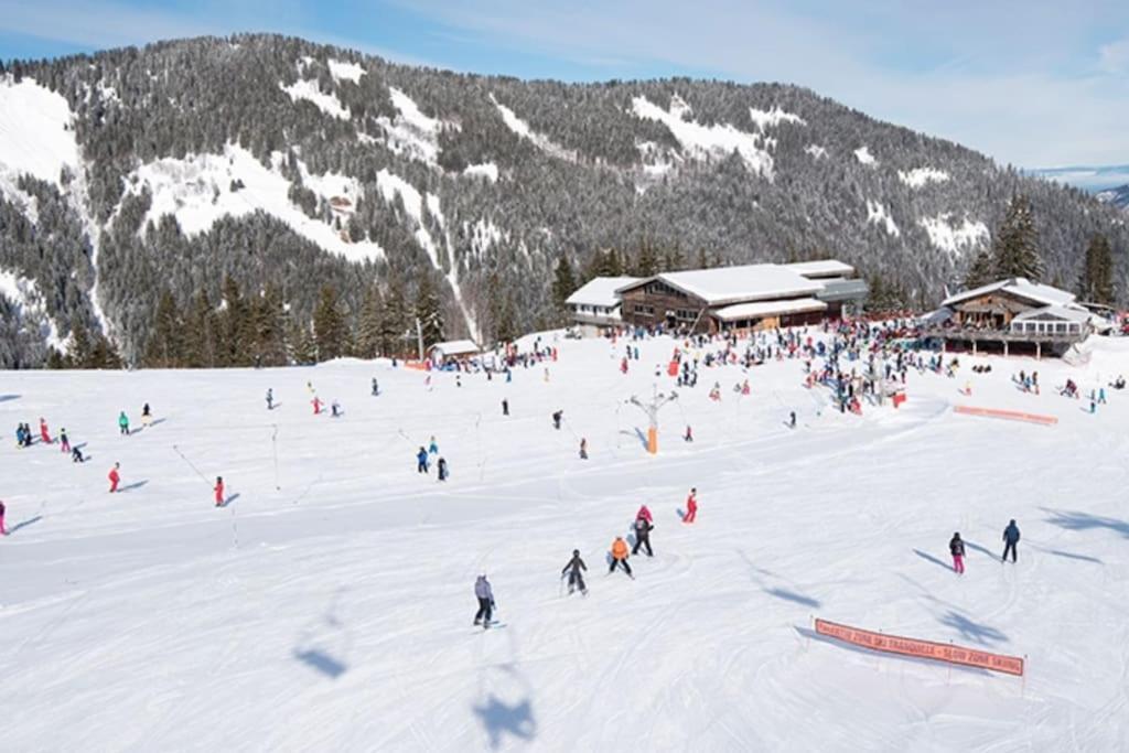Dans Residence Neuve Le Snow Roc Sur Les Pistes, Grand Studio Cosy 5 Pers Avec Terrasse Panoramique, Sauna, Wifi Saint-Jean-d'Aulps Ngoại thất bức ảnh